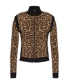 Red Valentino Leo Star Jacquard Sweater In Brown