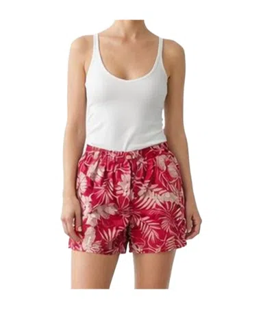 Red Valentino Printed Shorts In Multi