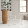 Red Vanilla 36-piece Assorted Glassware Set In Multi