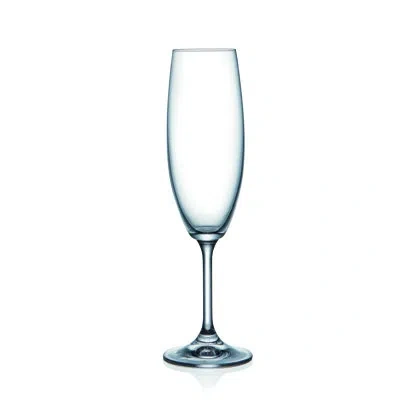 Red Vanilla Lara Fluted Champagne Glass 220ml Set/6 In Clear