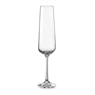 Red Vanilla Sandra Fluted Champagne Glass 200ml Set/6 In Clear