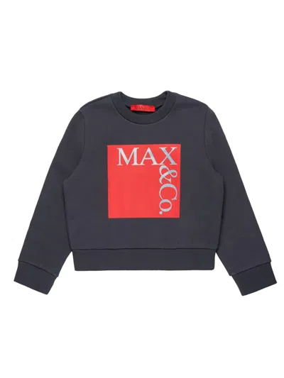 Red Wing Shoes Max&co. Sweatshirt In Gray