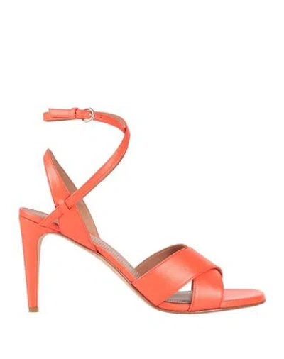 Redv Red(v) Woman Sandals Orange Size 10 Leather In Gray