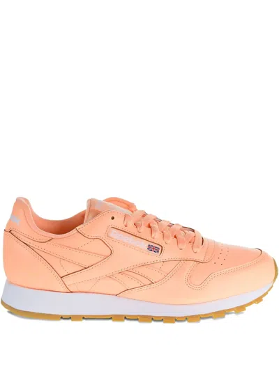 Reebok Classic "desert Glow/white" Sneakers In Orange