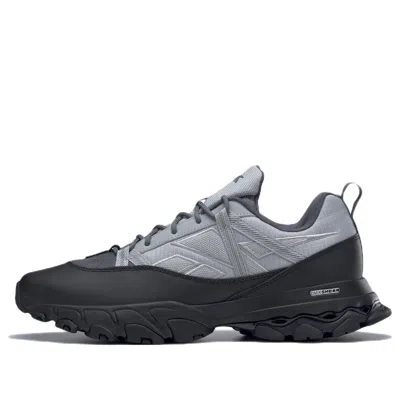 Reebok Dmx Trail Shadow In Gray