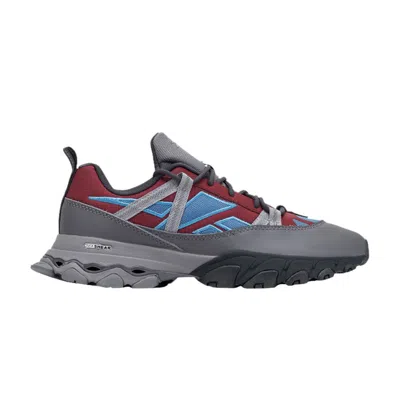 Pre-owned Reebok Dmx Trail Shadow 'cloud Grey Burgundy Steel Blue'