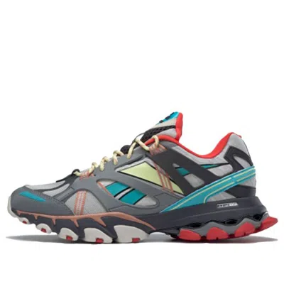 Reebok Dmx Trail Shadow 'cold Grey Rustic Clay' In Multi