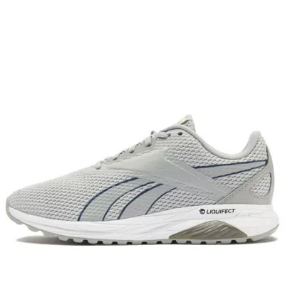 Reebok Liquifect 90 Ap In Gray