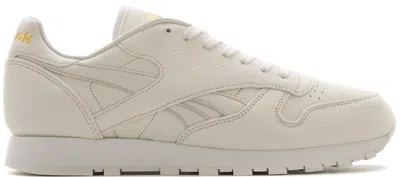 Pre-owned Reebok Men's  Classic Leather Sneakersnstuff Premium In Chalk/white/metallic Gold In Multi