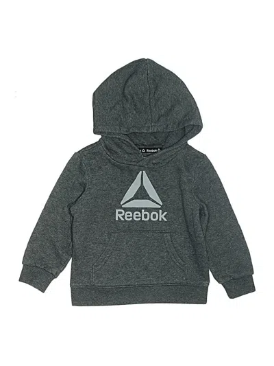 Pre-owned Reebok Kids' Pullover Hoodie In Gray
