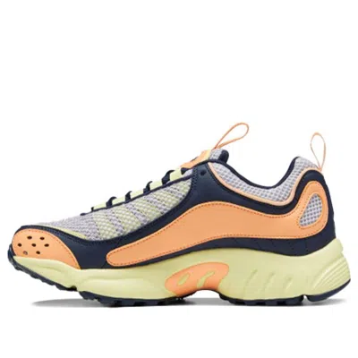 Reebok (wmns)  Daytona Dmx Ii In Gray