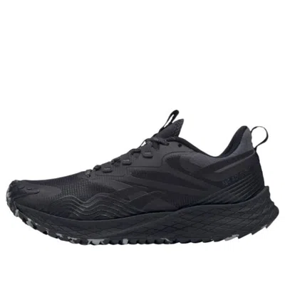 Reebok (wmns)  Floatride Energy 4 Adventure 'black'
