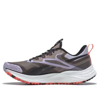 Reebok (wmns)  Floatride Energy 4 Adventure 'taupe Purple Oasis' In Gray