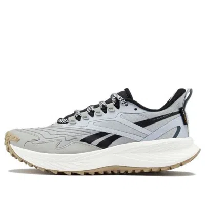 Reebok (wmns)  Floatride Energy 5 Adventure 'grey White' In Gray