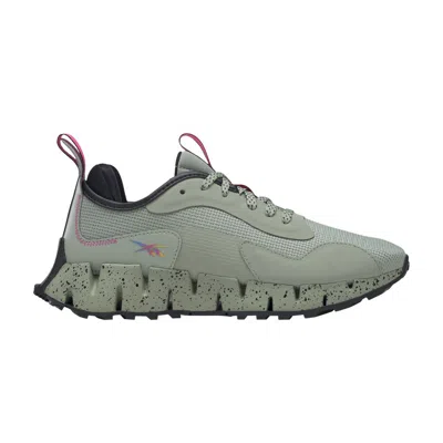 Pre-owned Reebok Wmns Zig Dynamica Adventure 'mystic Grey Speckled'