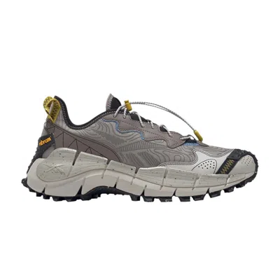 Pre-owned Reebok Wmns Zig Kinetica 2 Edge 'boulder Grey'