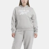 Reebok Womens  Plus Size Fleece Hoodie In Grey