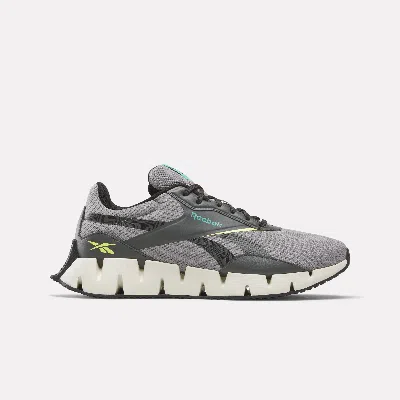 Reebok Zig Dynamica Str Shoes In Gray