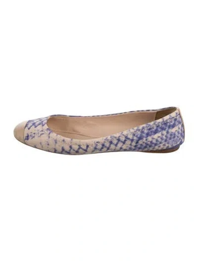 Pre-owned Reed Krakoff Canvas Printed Ballet Flats In Blue/neutrals