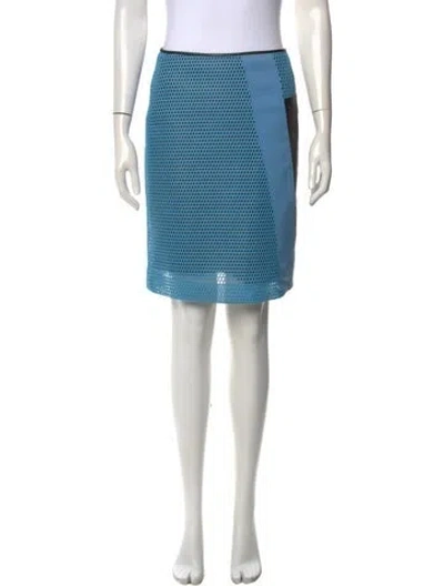 Pre-owned Reed Krakoff Patterned Knee-length Skirt In Blue