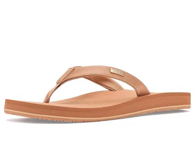 Reef Baja Sands In Brown