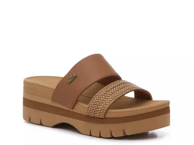 Reef Banded Horizon 2.5 Sandal In Brown