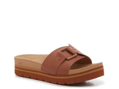 Reef Banded Horizon Buckle Slide Sandal In Brown