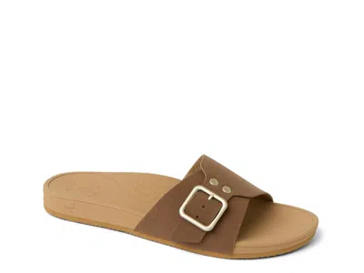 Reef Banded Horizon Sandal In Brown