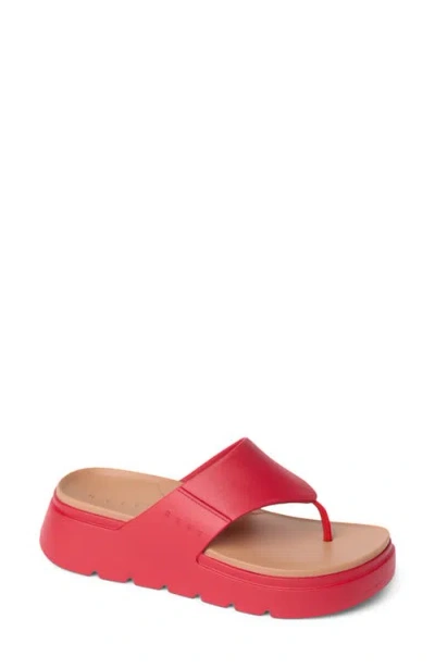 Reef Cali Laguna Platform Flip Flop In Multi