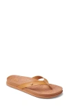 Reef Cushion Porto Cruz Flip Flop In Natural