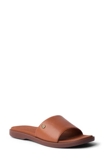 Reef Cushion Sunny Slide Sandal In Brown