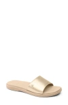 Reef Cushion Sunny Slide Sandal In Golden Hour