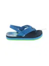 Reef Flip Flops In Blue