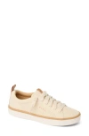 Reef Lay Day Lite Sneaker In Brown