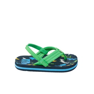 Reef Kids' Little Ahi Multi Shark Cj6624 Toddler In Green