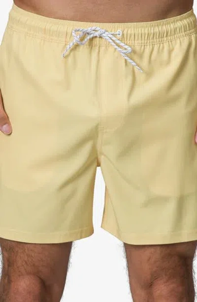 Reef Marzo Swim Trunks In Green