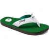 Reef Mulligan Ii Flip Flop In Green