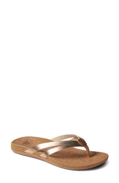 Reef Pacific Joy Flip Flop Sandal In Brown
