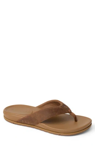 Reef Phantom Bonzer Le Flip Flop In Brown