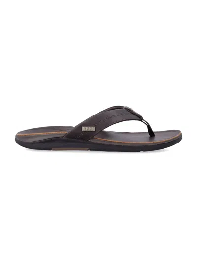Reef Leather Offshore Thong Sandals In Brown