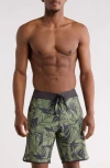 Reef Rogan Board Shorts In Multi