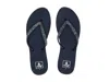 Reef Stargazer In Blue