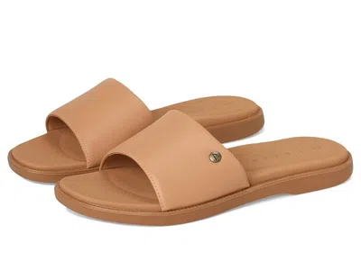 Reef Sunny Arrianah In Brown