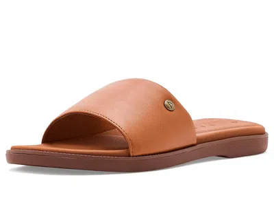 Reef Sunny Arrianah In Brown