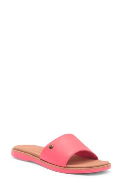 Reef Sunny Arrianah Slide Sandal In Pink