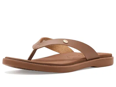 Reef Sunny Farrah In Brown