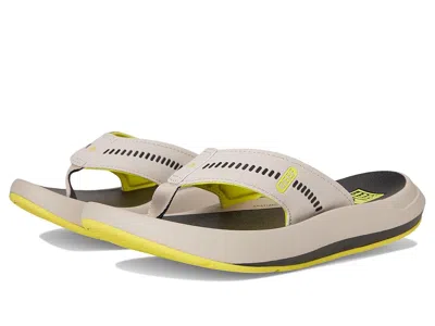 Reef Swellsole Cruiser In Neutral