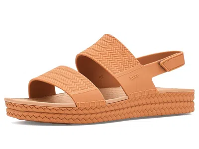 Reef Water Vista In Brown