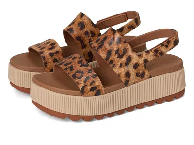 Reef Water Vista Higher In Brown