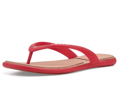 Reef Water Willow Malibu In Multi